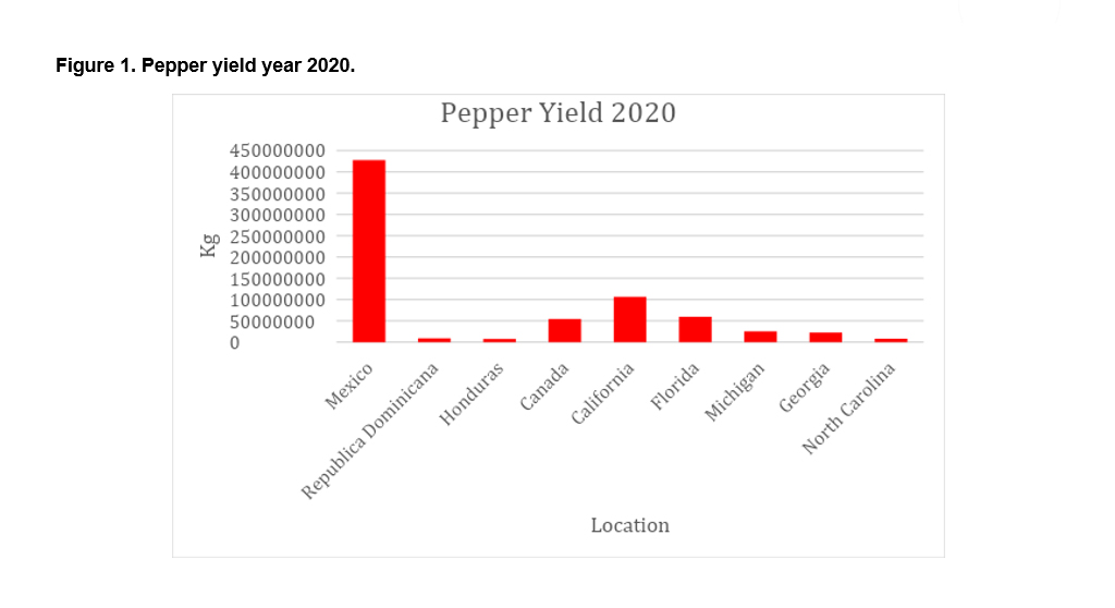 How-to-face-the-challenges-in-sweet-pepper-production-Pepper-yield-year-2020-harvest-harmonics-crop-booster-1