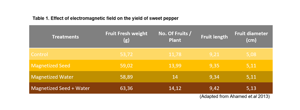 How-to-face-the-challenges-in-sweet-pepper-production-Pepper-yield-year-2020-harvest-harmonics-crop-booster-3