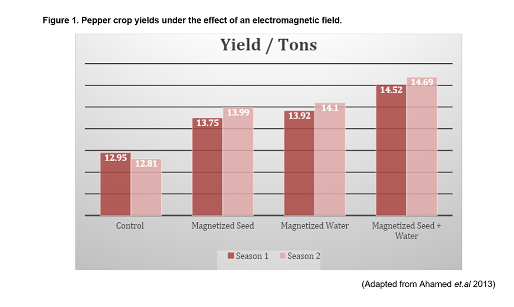 How-to-face-the-challenges-in-sweet-pepper-production-Pepper-yield-year-2020-harvest-harmonics-crop-booster-4