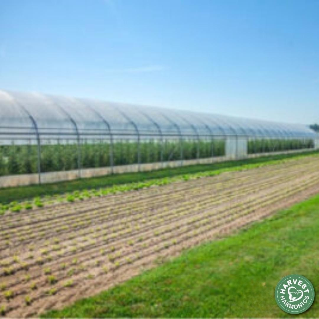 Paprika greenhouse case study in Valle del Cauca Colombia using Kyminasi Plants Crop Booster