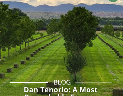 Dan Tenorio: A Most Remarkable Farmer